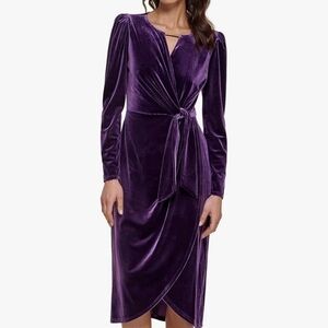 Luxurious Velvet Long Sleeve Dress in Deep Purple